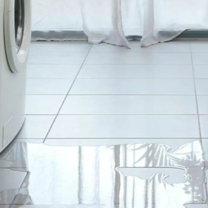 Appliance Leak Cleanup in Woodlake, VA