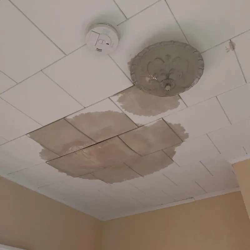 Ceiling Water Damage Repair in Woodlake, VA