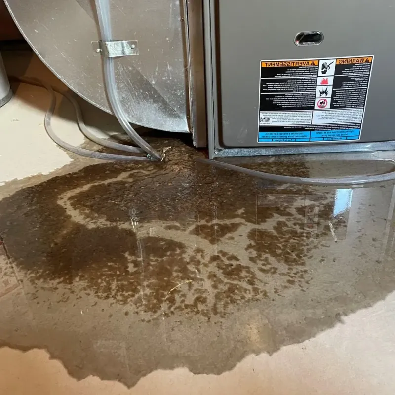 Pipe Burst and Leak Restoration in Woodlake, VA