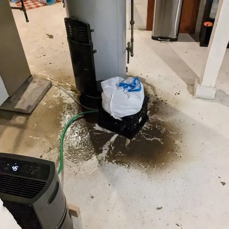Sewage Backup Cleanup Service in Woodlake, VA